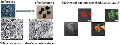 Bio Contact-N provides a hydrophilic field for bacteria.