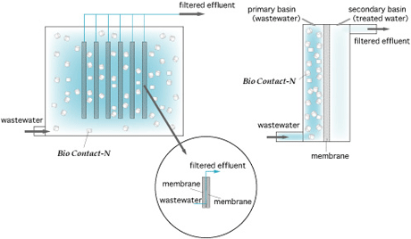 Membrane cleaning