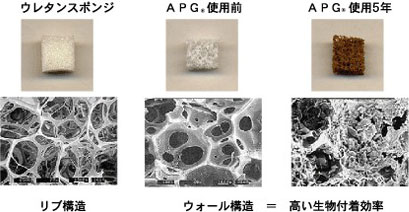 高い生物付着効率