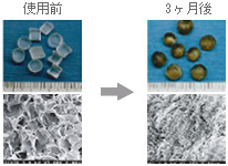 高い生物親和性